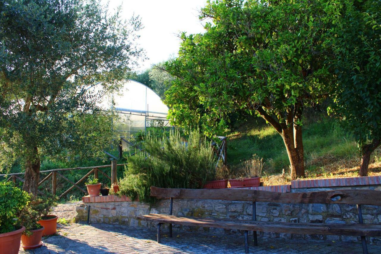RoccadaspideCasale Degli Ulivi别墅 外观 照片