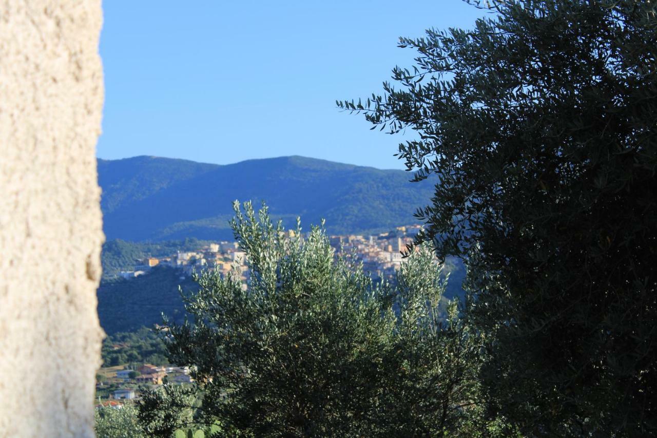 RoccadaspideCasale Degli Ulivi别墅 外观 照片